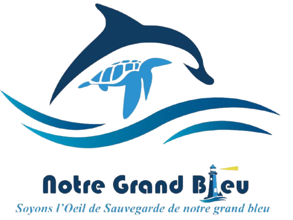 Logo de l'association Notre Grand Bleu